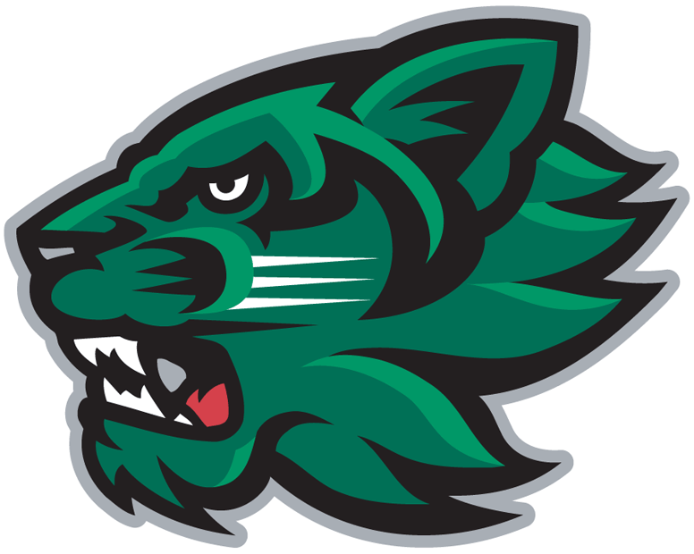 Binghamton Bearcats 2001-Pres Secondary Logo diy DTF decal sticker